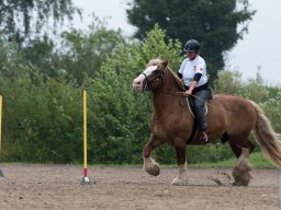 DSC_1995_web